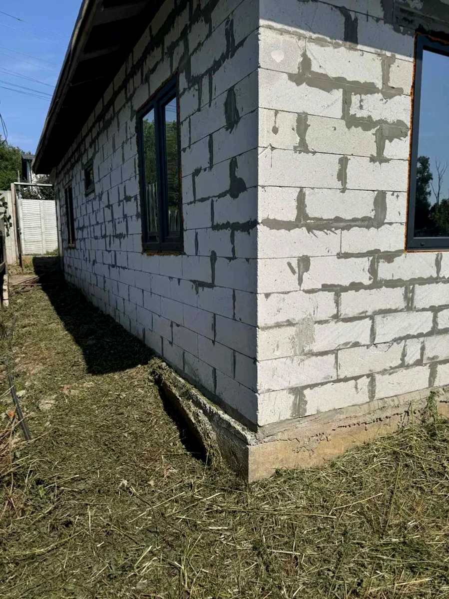 1877922911419054