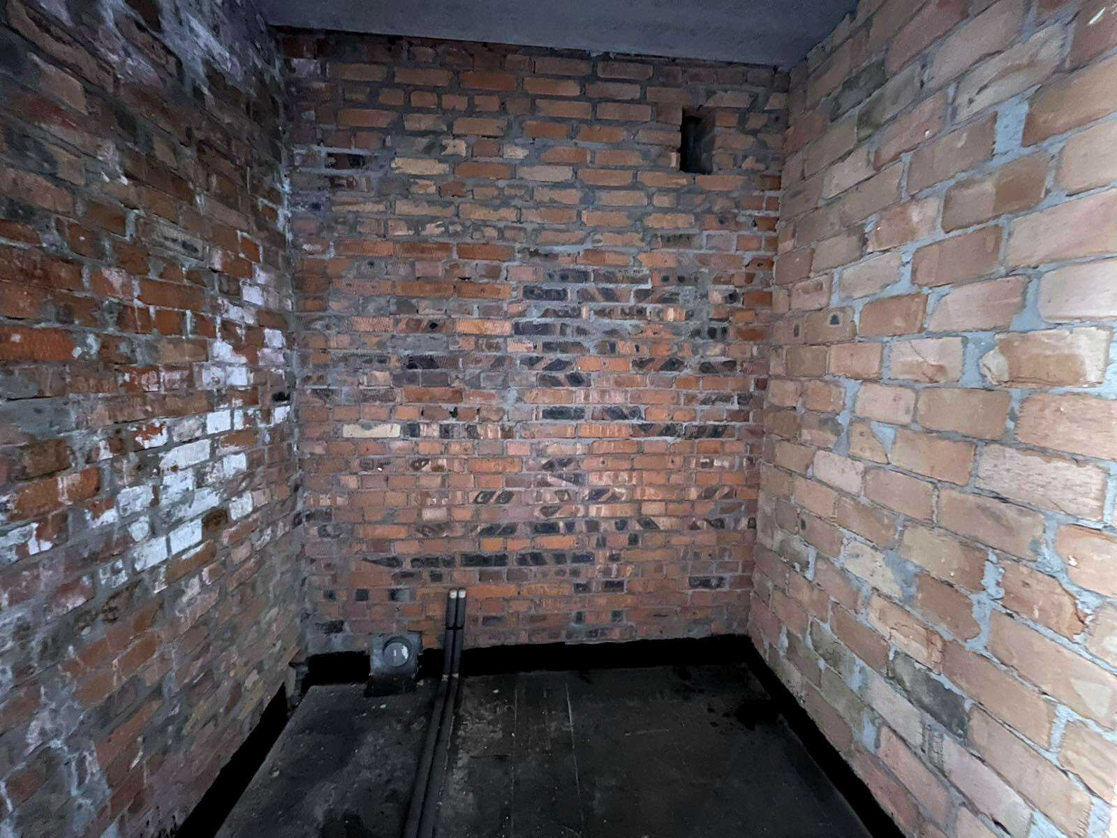 1877930724110769
