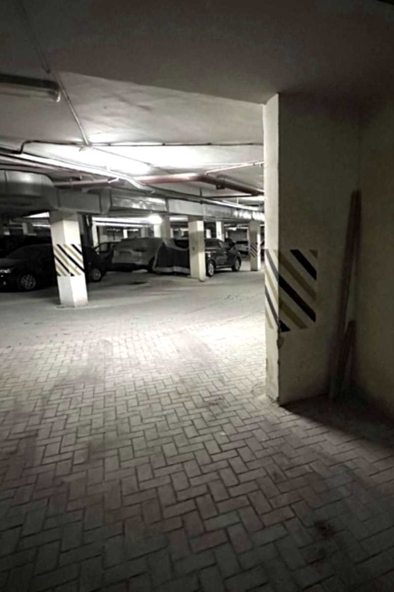 1877933809635308.jpg