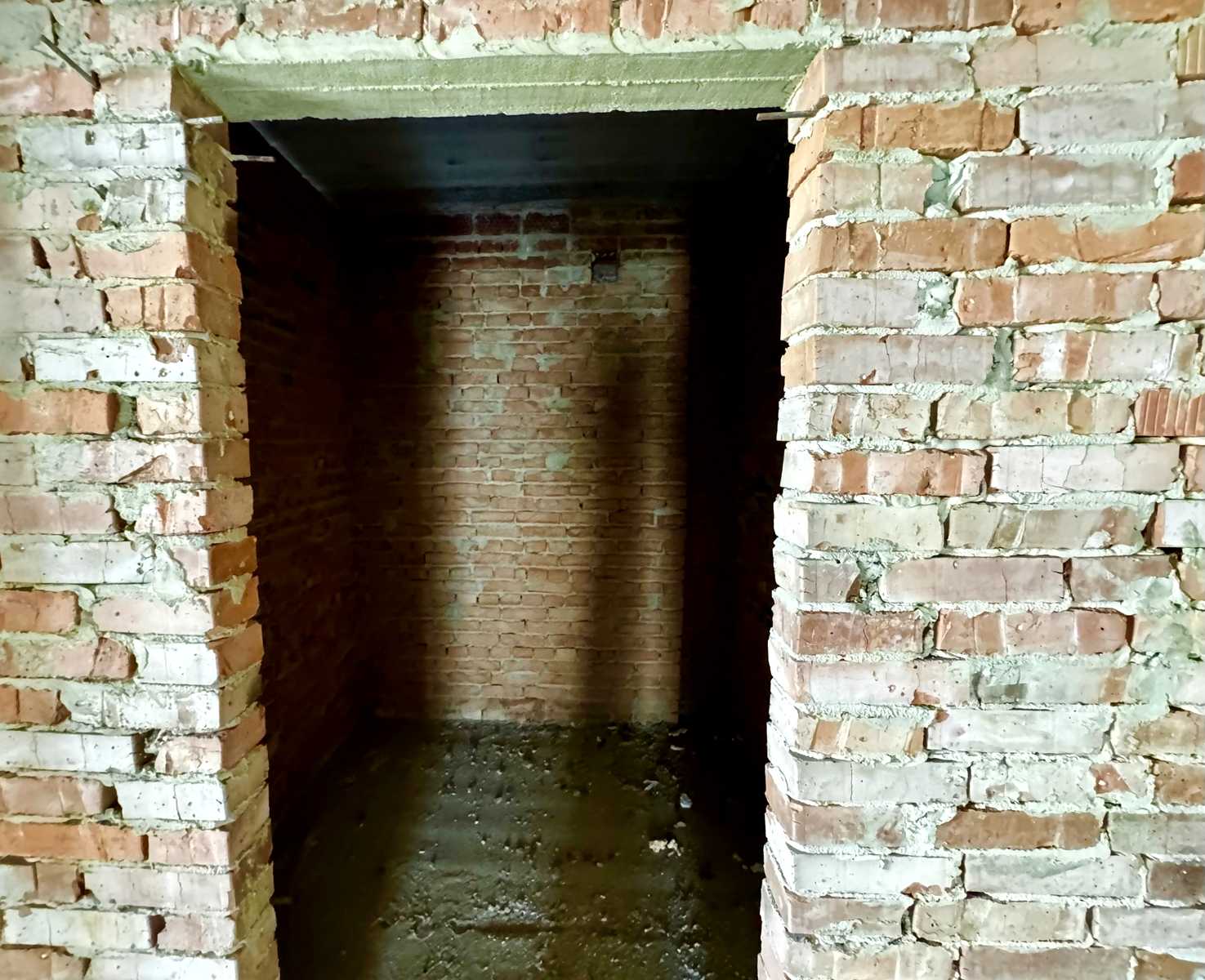 1877936381773708