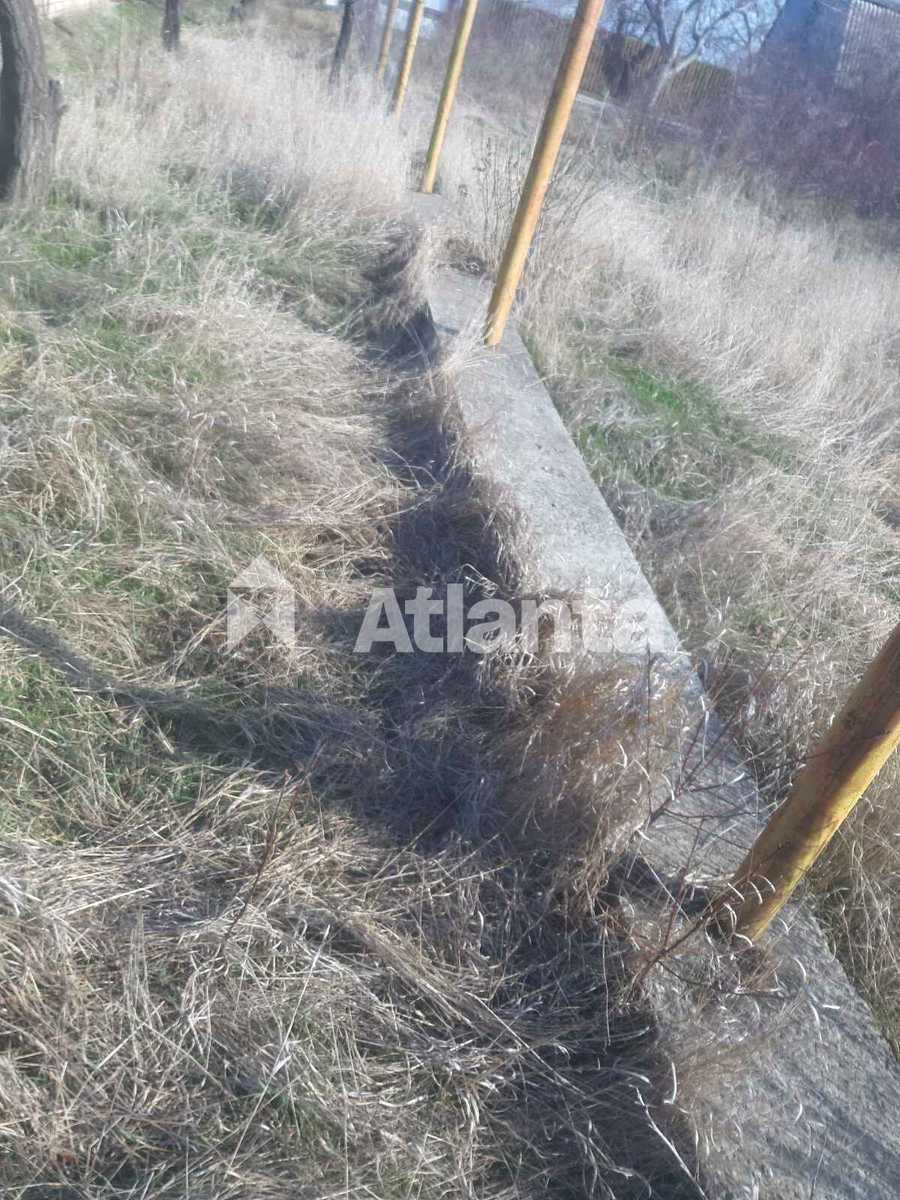 1877938222529628