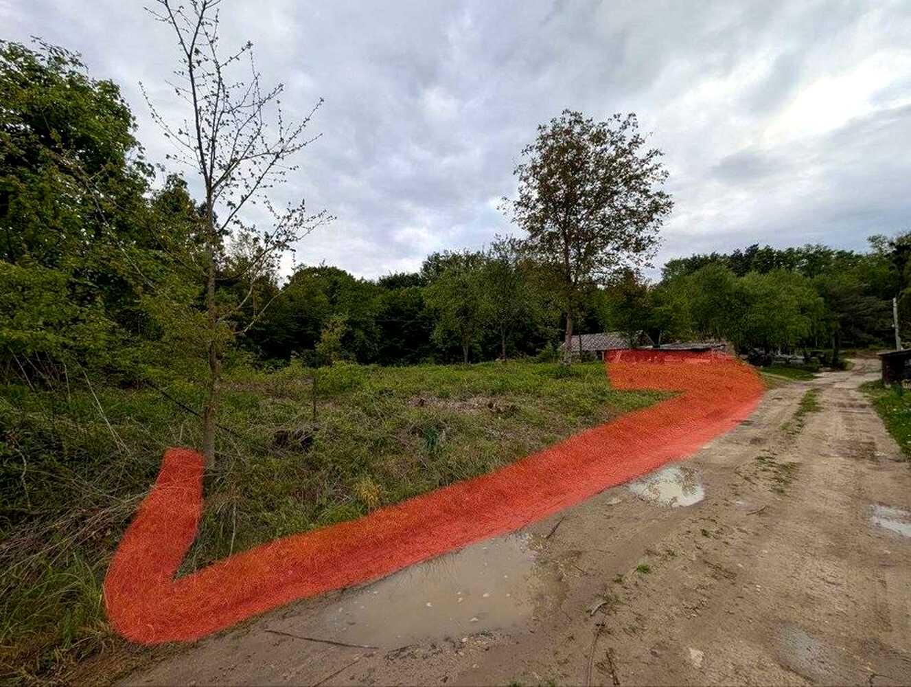 1877938700740133.jpg