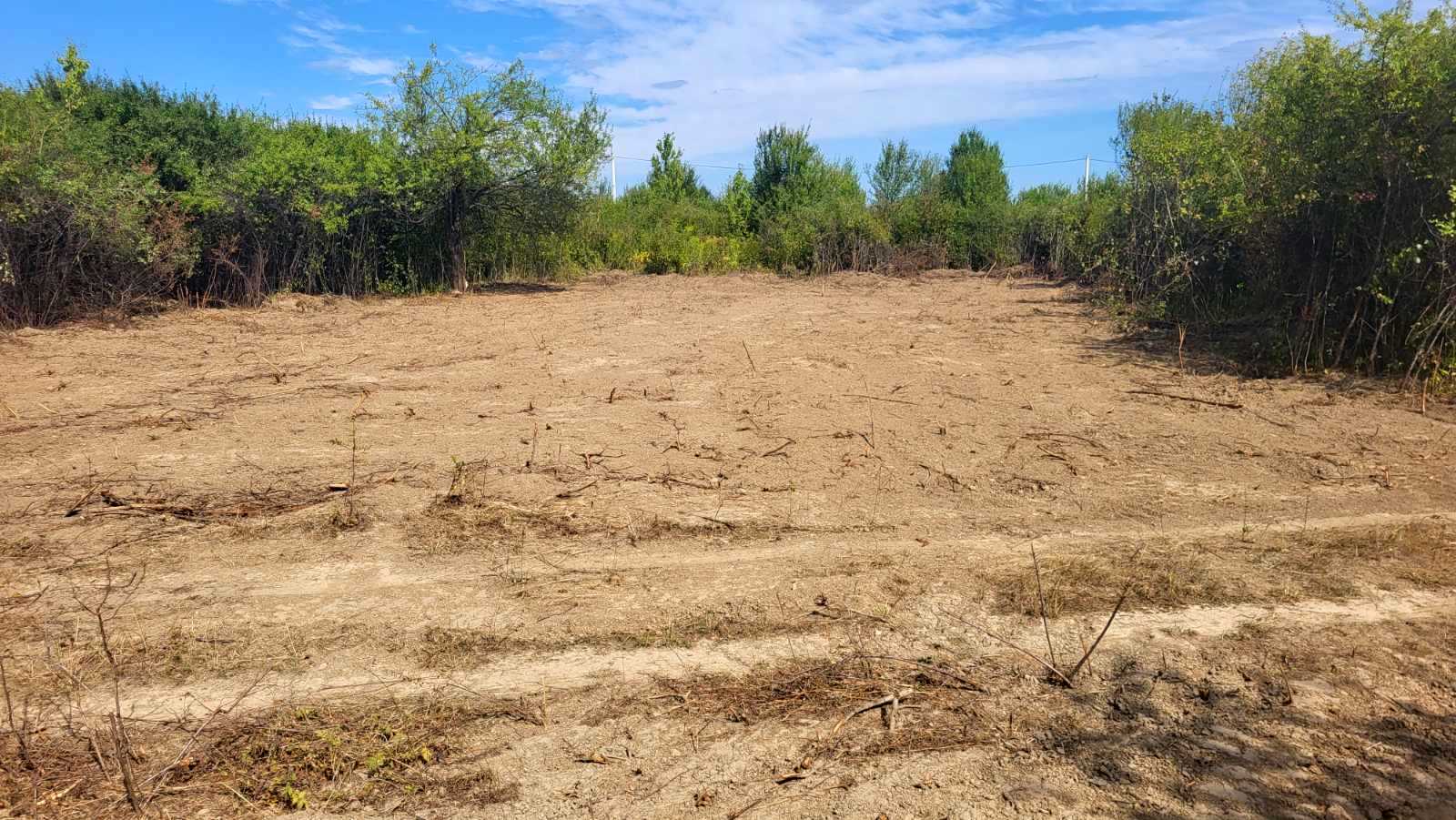 1877940764274519