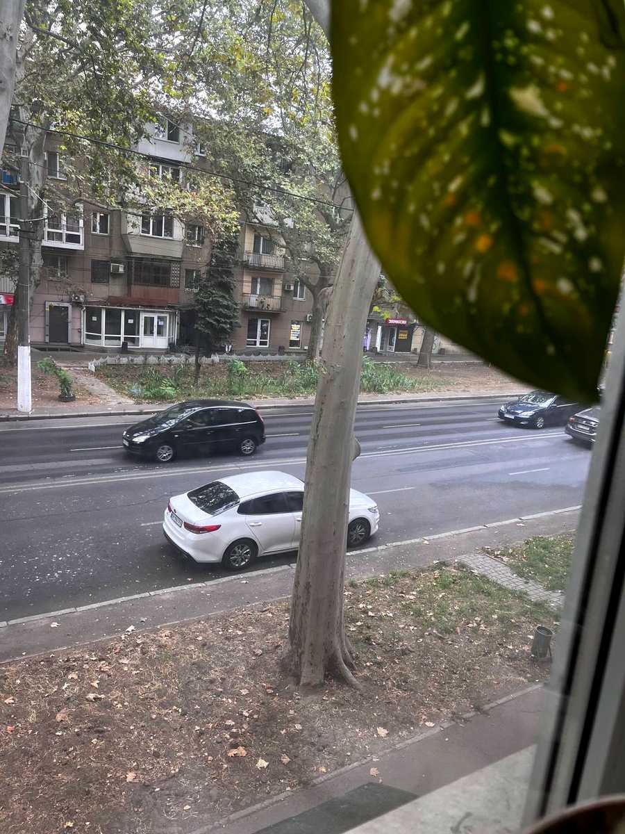 1877951618091382
