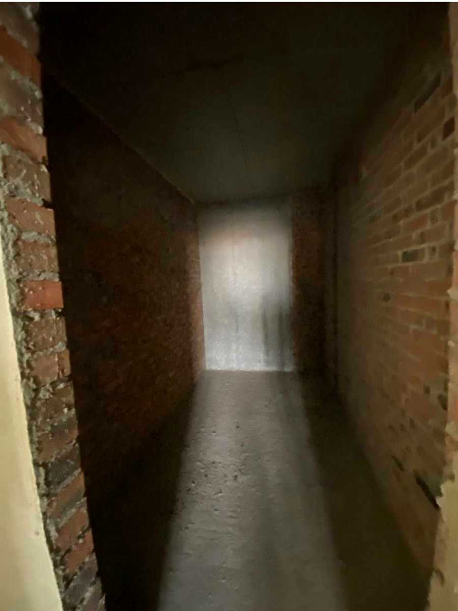1877961033336731