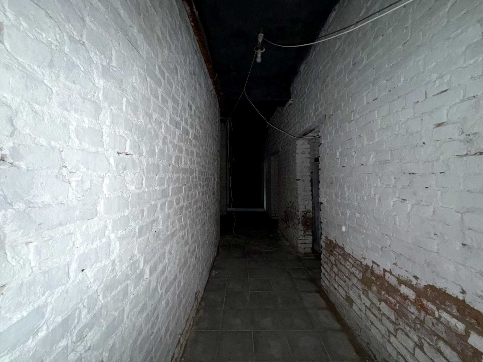 1877965343323271