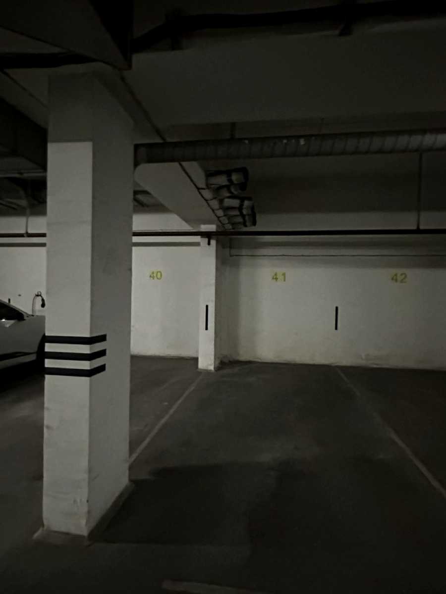 1877971185331303