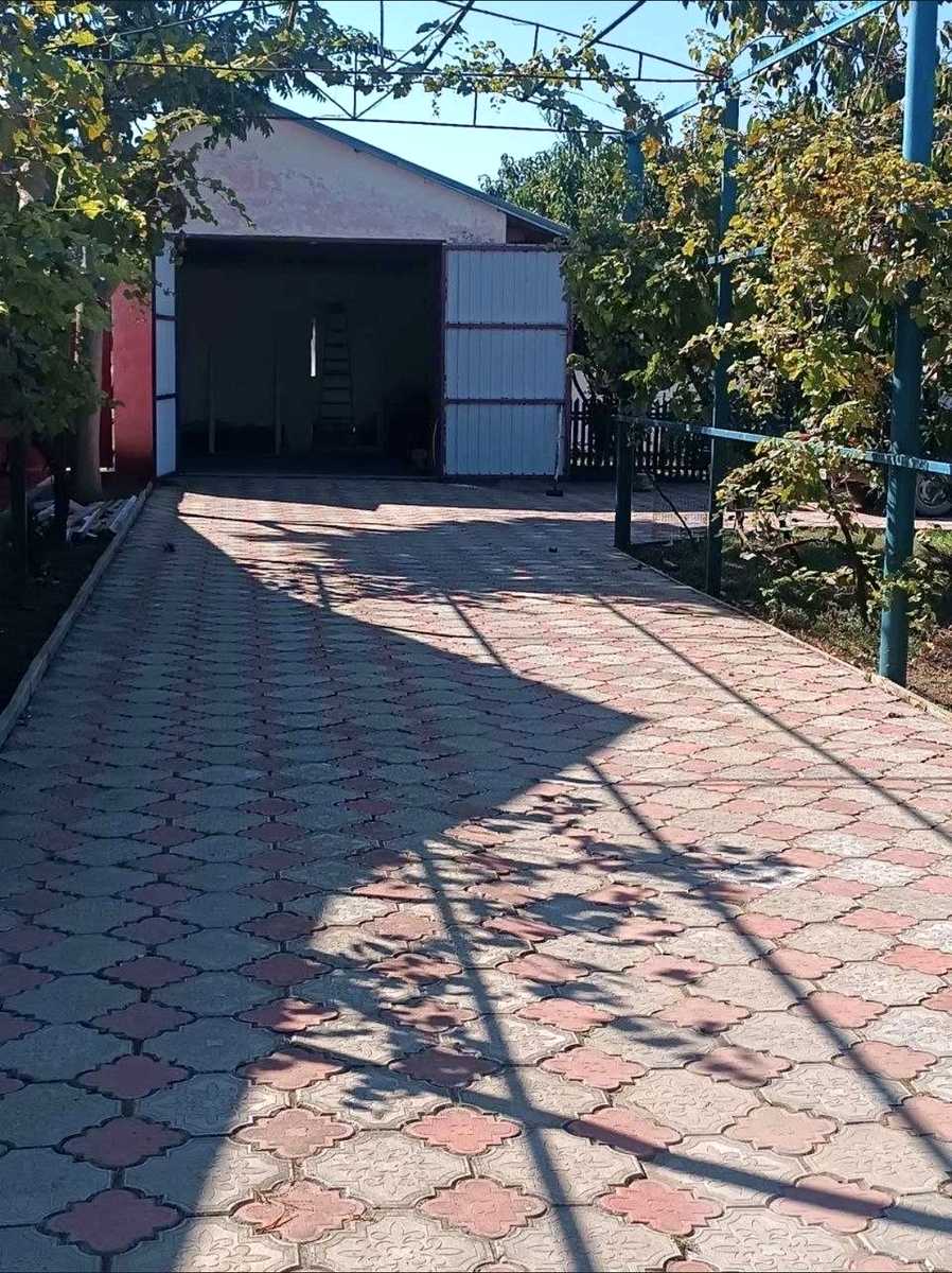 1877980612166890
