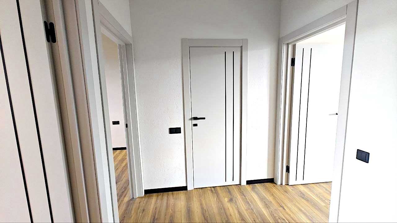1878015133431646