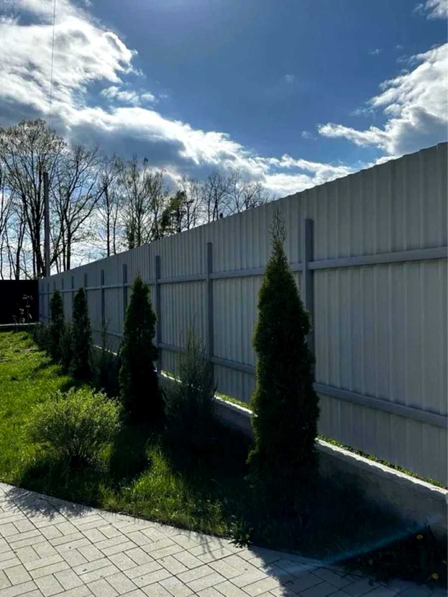 1878017329022818