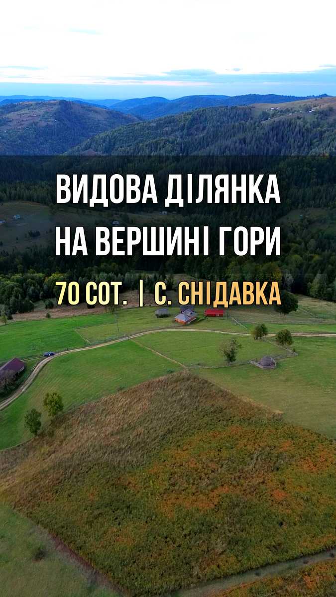 1878123769038269