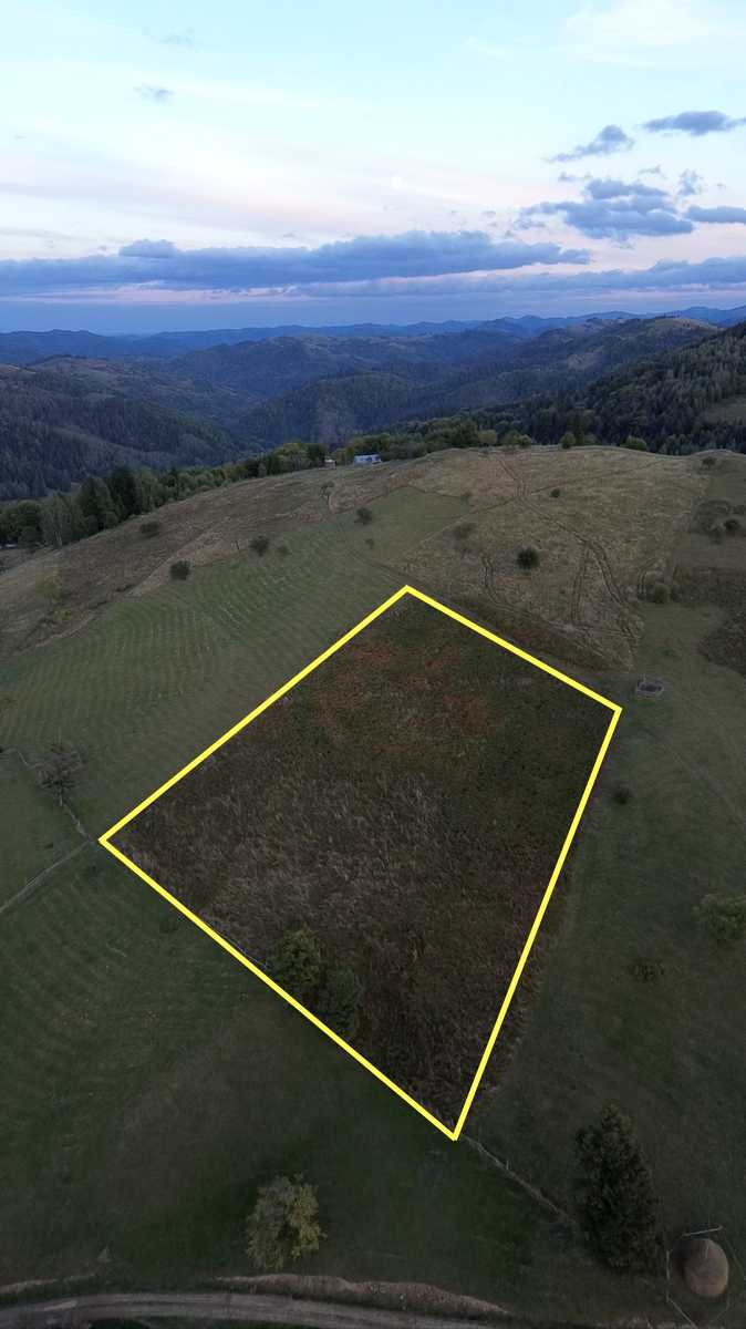 1878123769423652