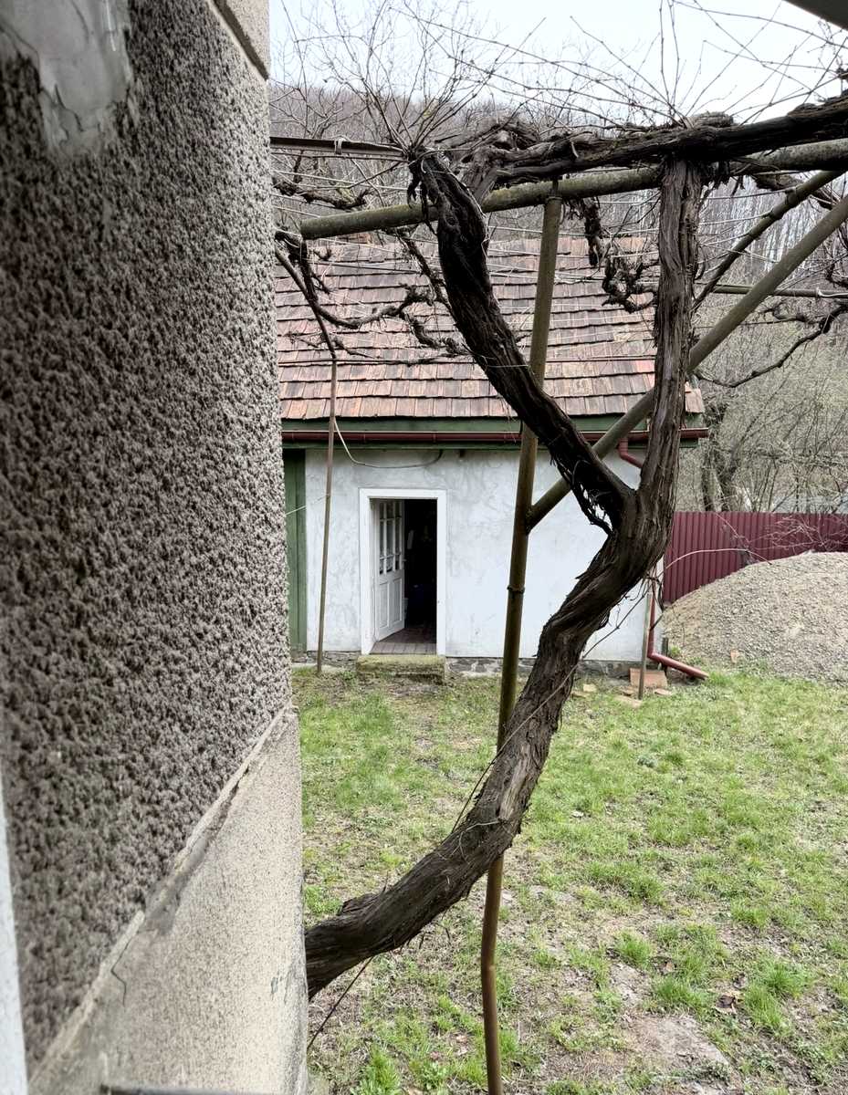 1878186476996387