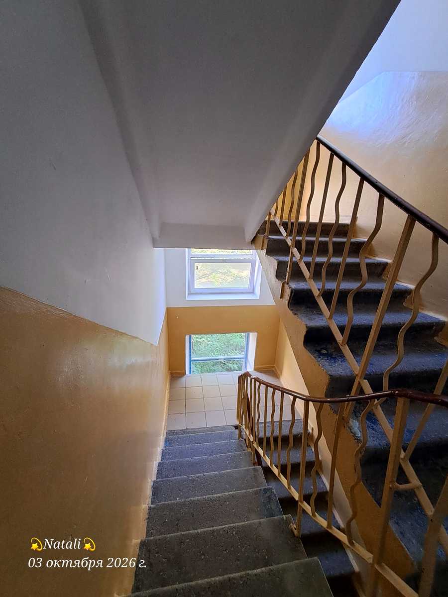 1878206551833389