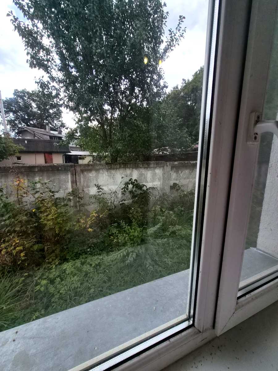 1878208449091869