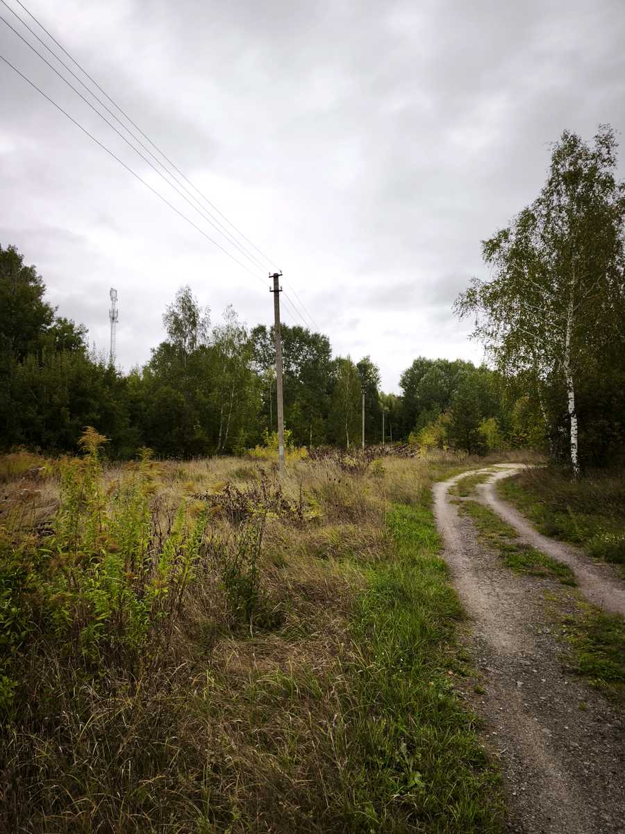 1878216298186777