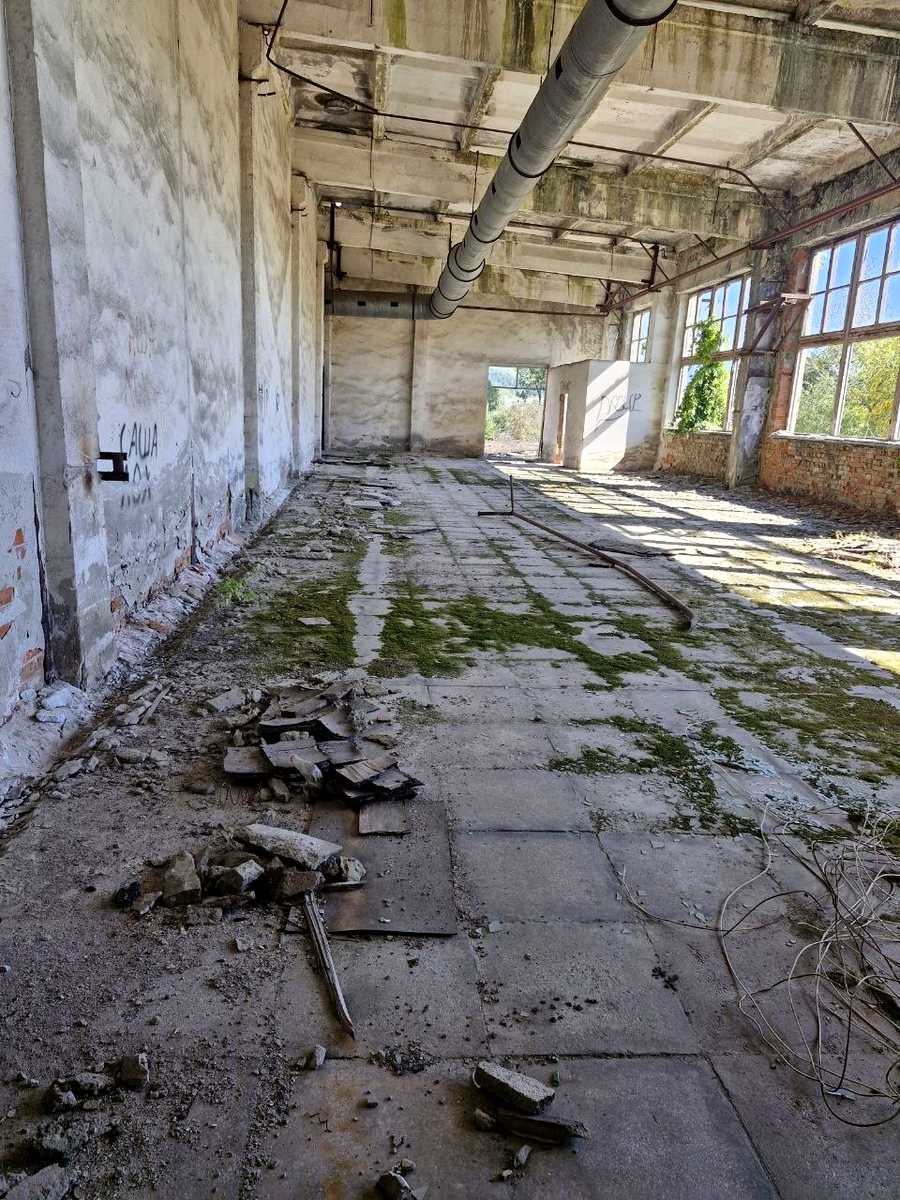 1878220454702300