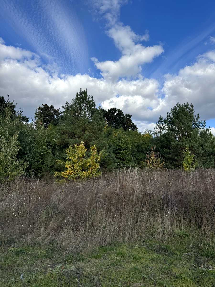 1878237135707017