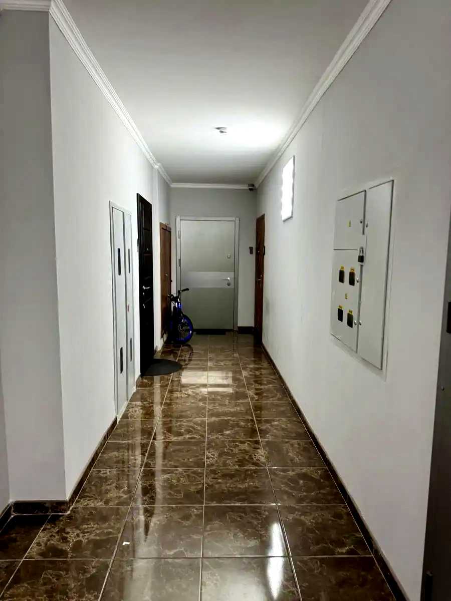 1878287597037688