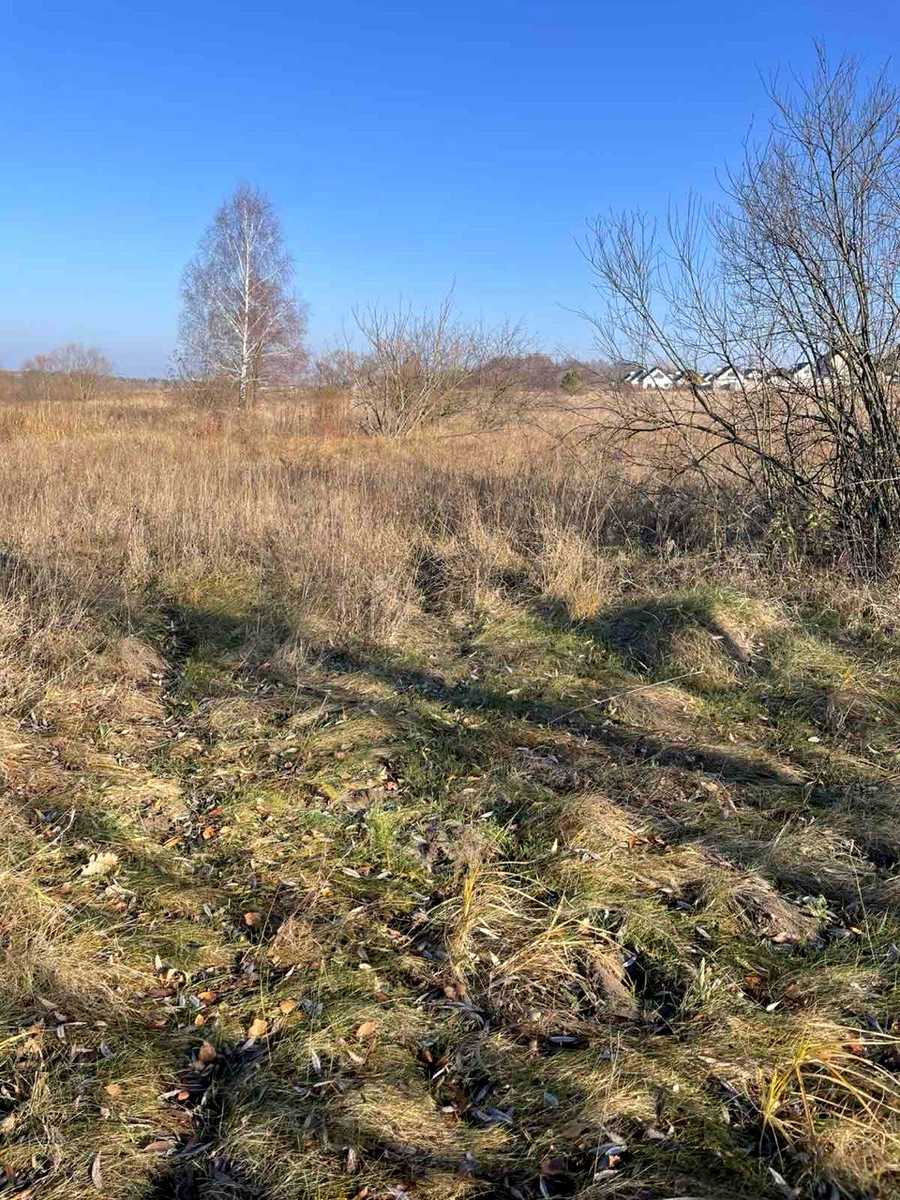 1878293404682118