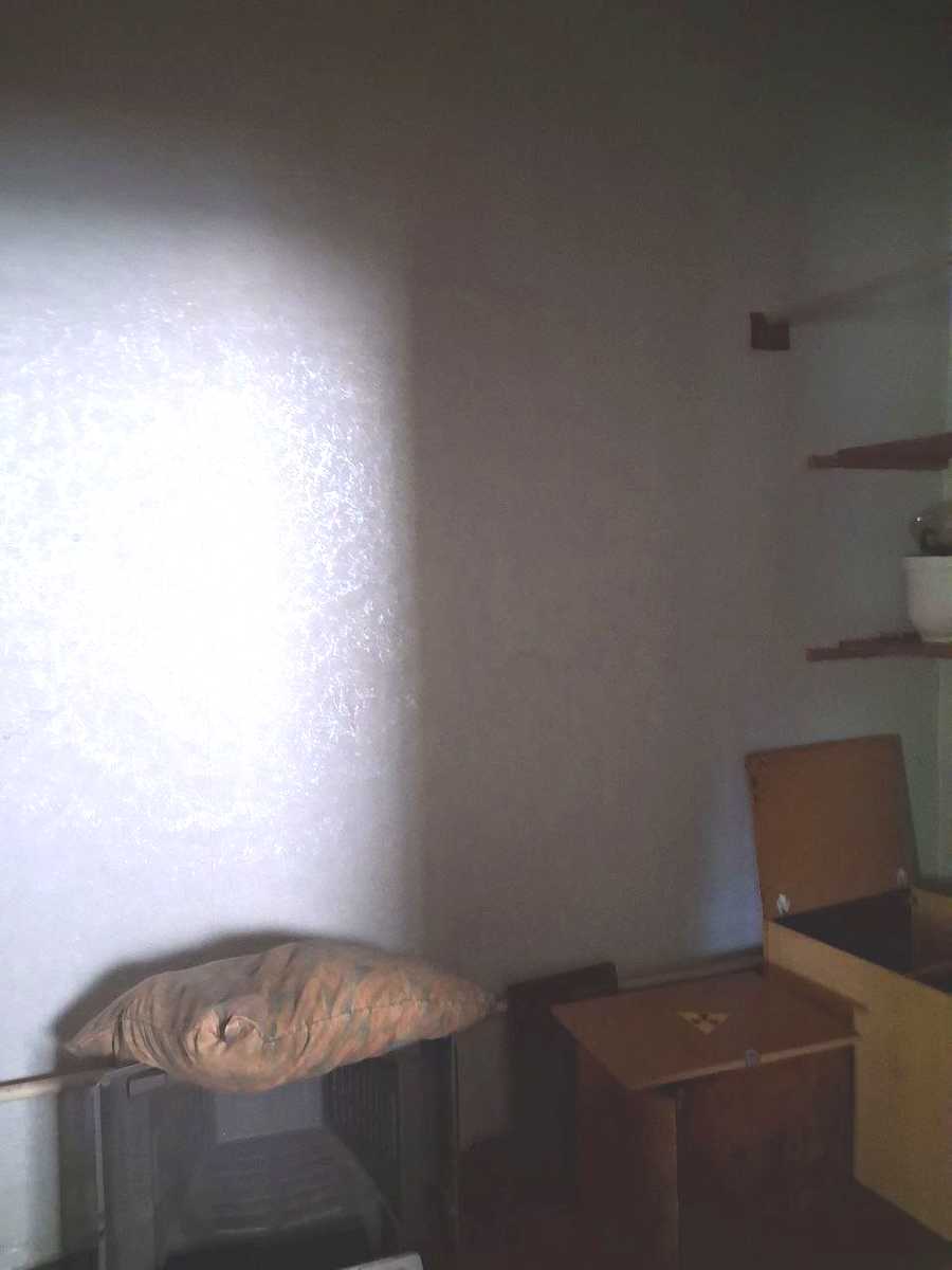 1878296337980902