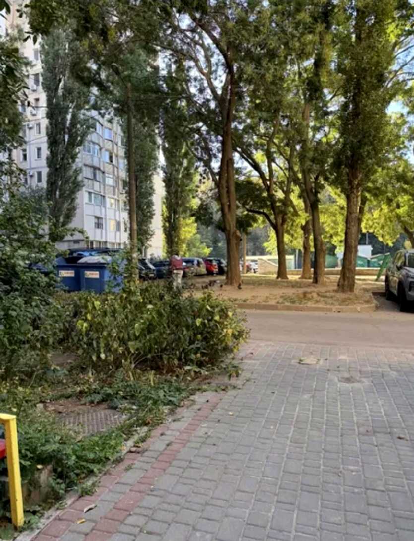 2-комнатная квартира по адресу (площадь 50 м²) - imageAlt 16 2-комнатная квартира по адресу (площадь 50 м²) - Atlanta.ua - imageAlt 16