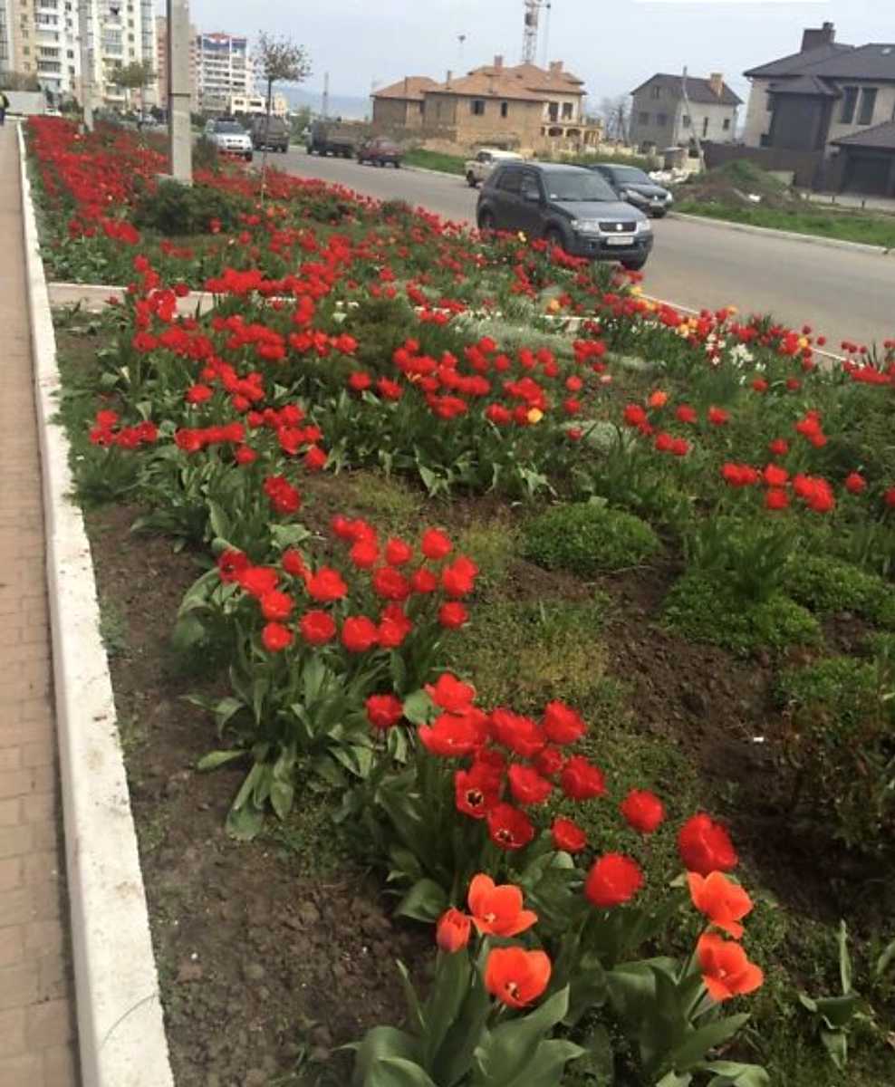 3-кімнатна квартира за адресою вул. Парусна (площа 131,3 м²) - фото 28 3-кімнатна квартира за адресою вул. Парусна (площа 131,3 м²) - Atlanta.ua - фото 28