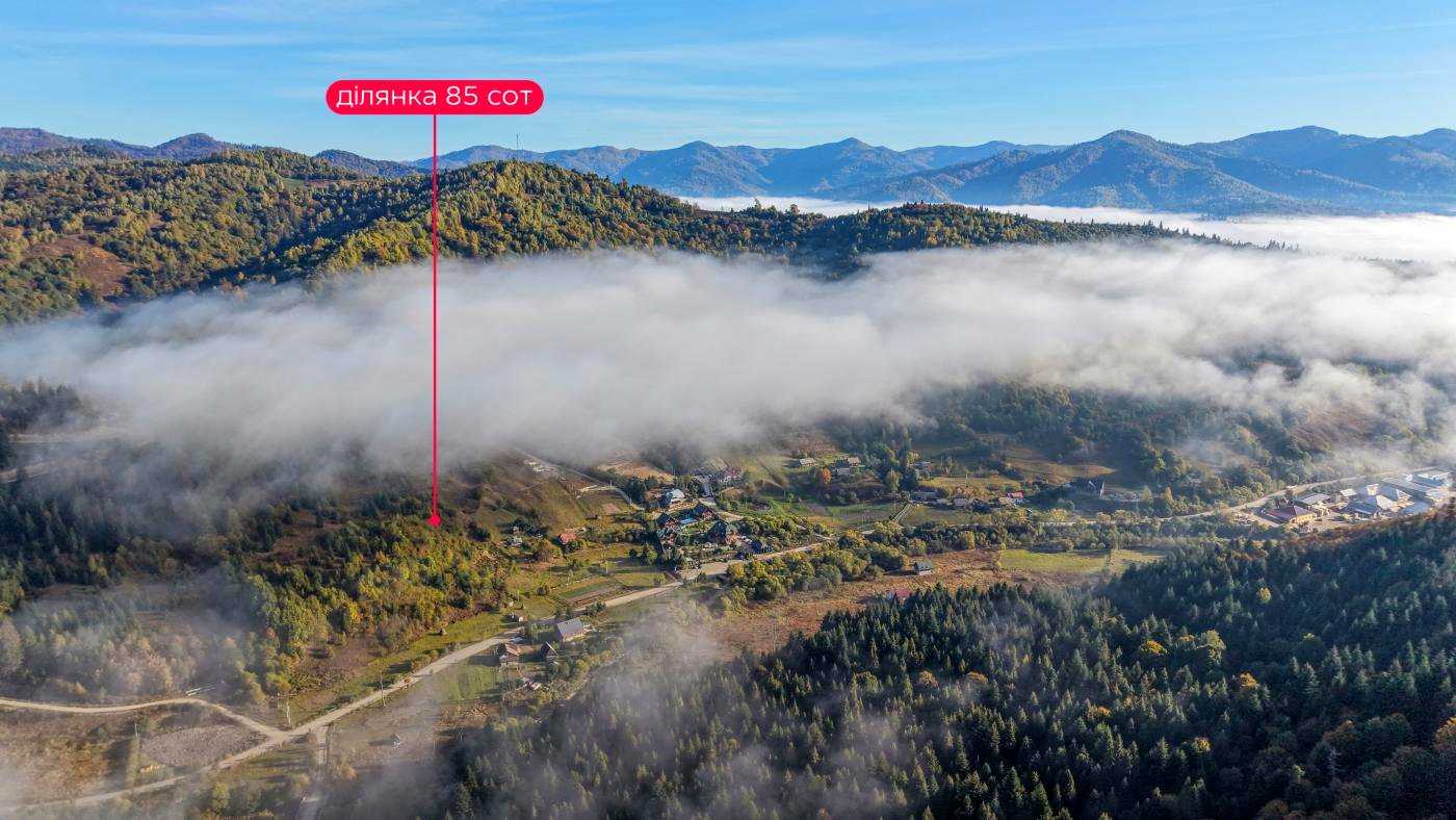 1878374288496333
