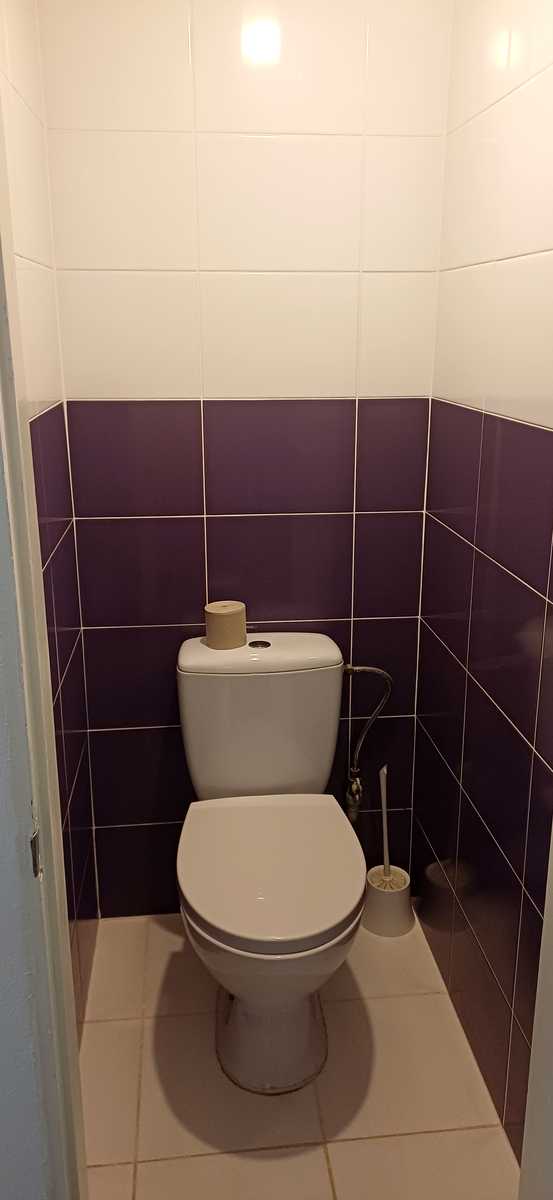 1878377307288782