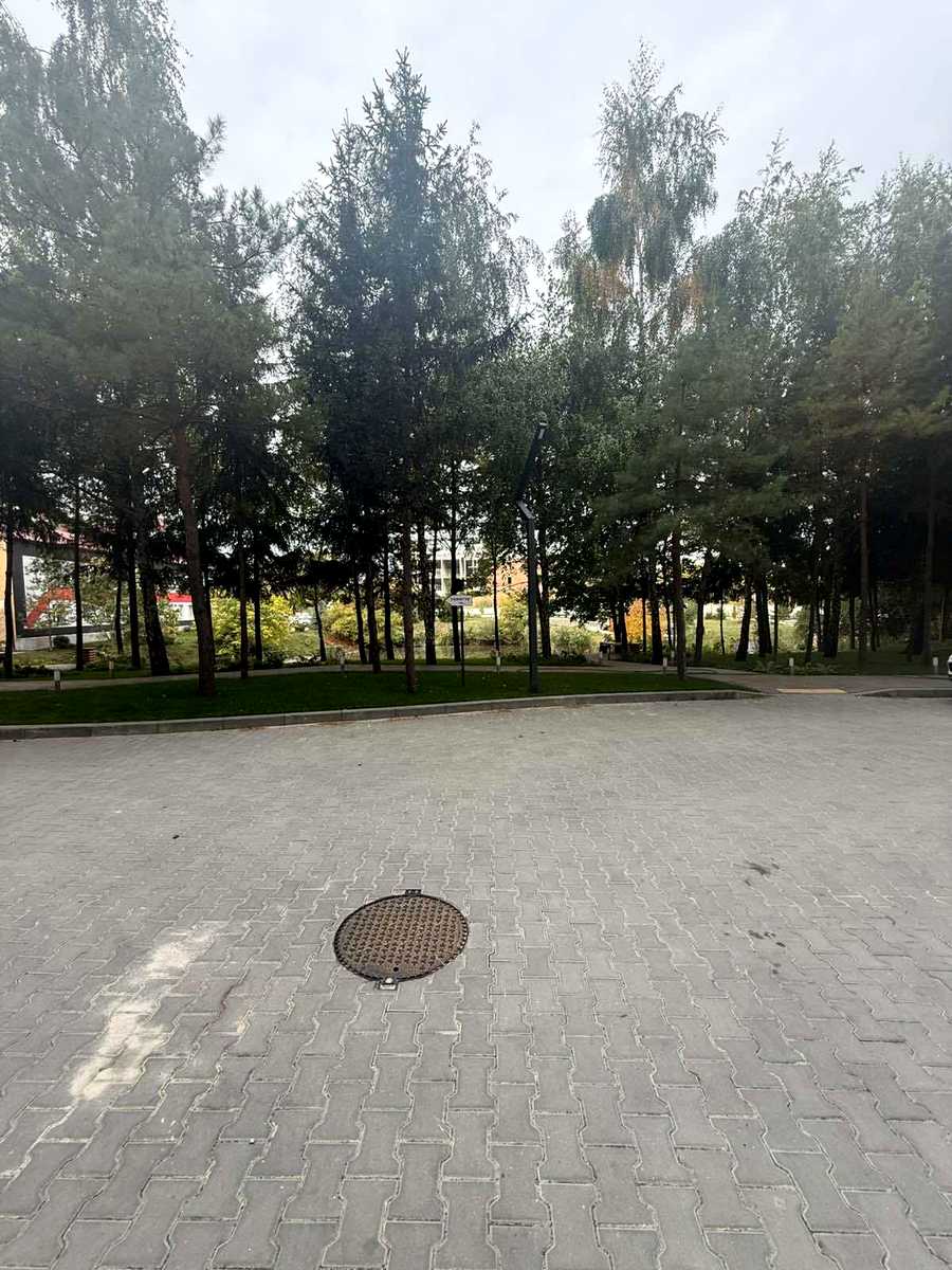 1878385492371564