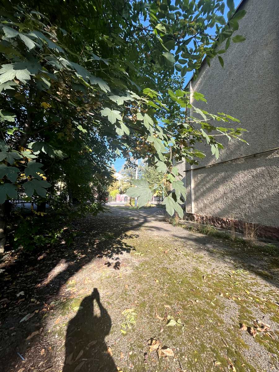 1878386171961281