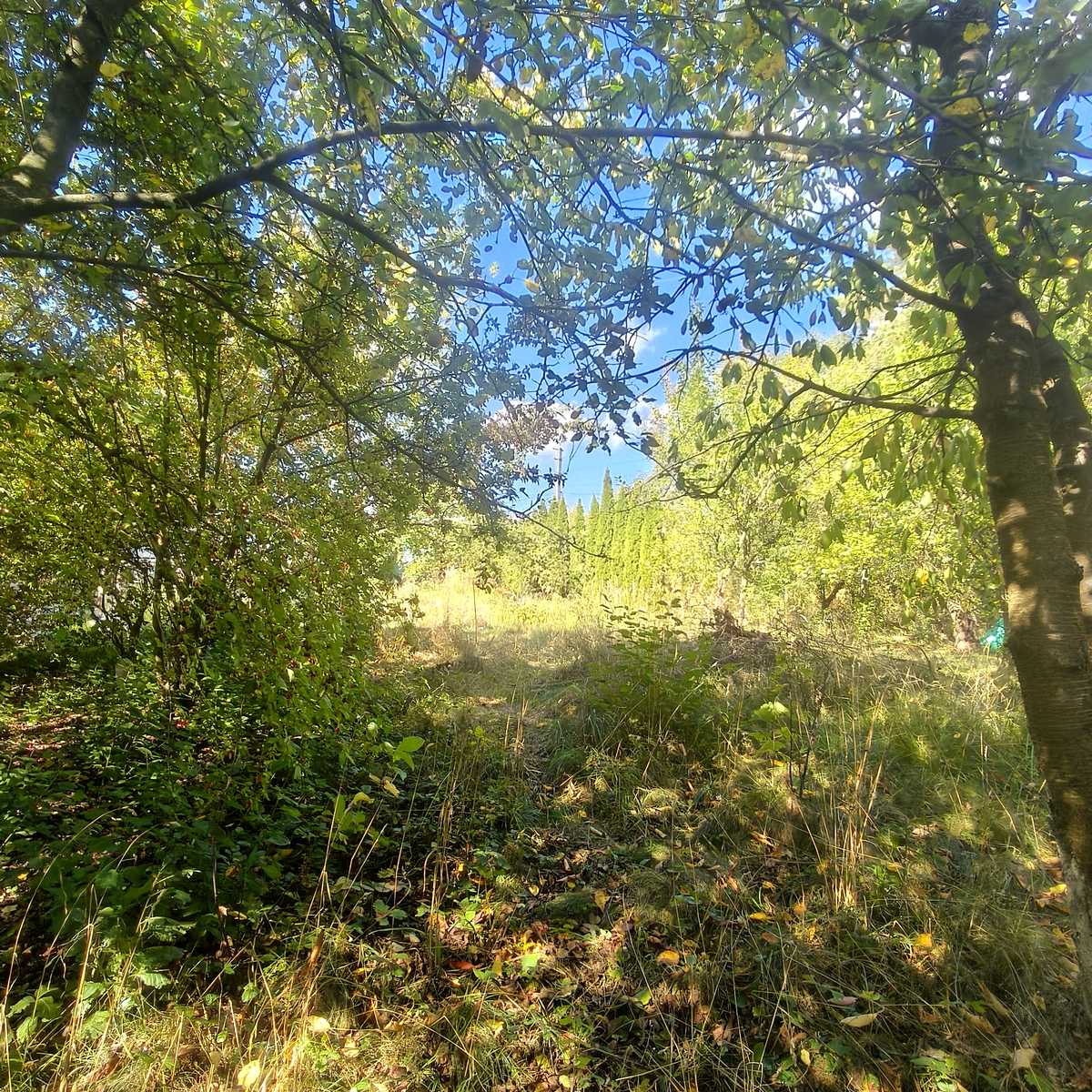 1878389842815686