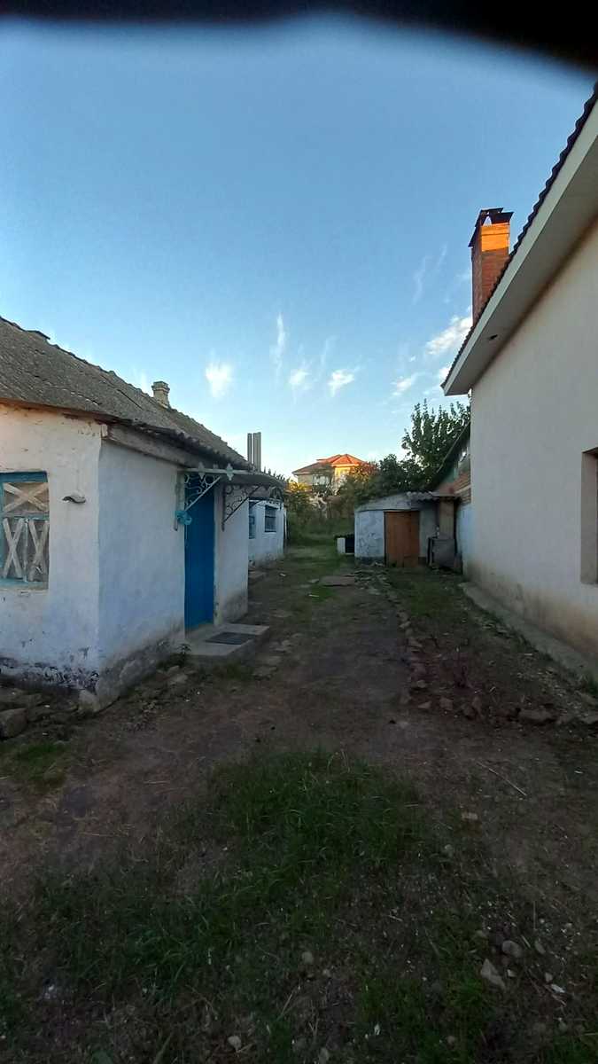 1878390086612650