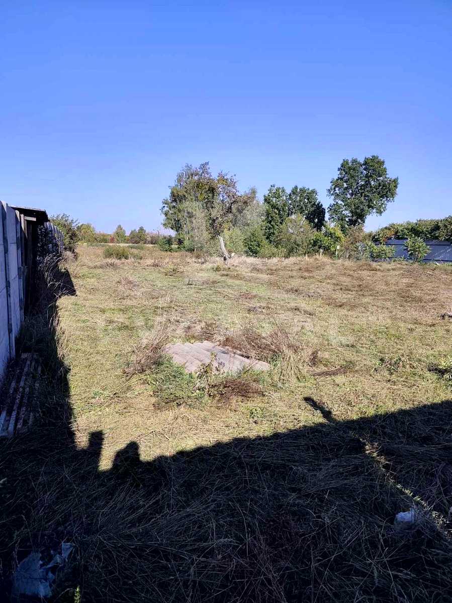 1878399896076029