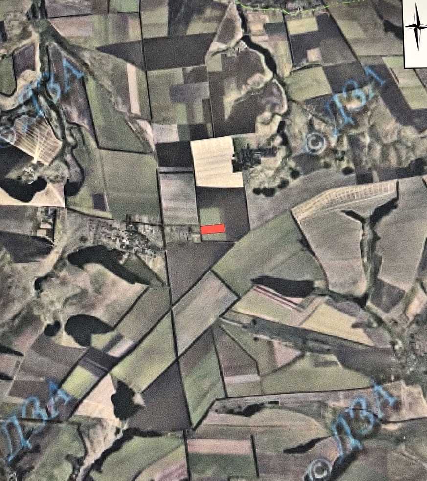 1878403277132027