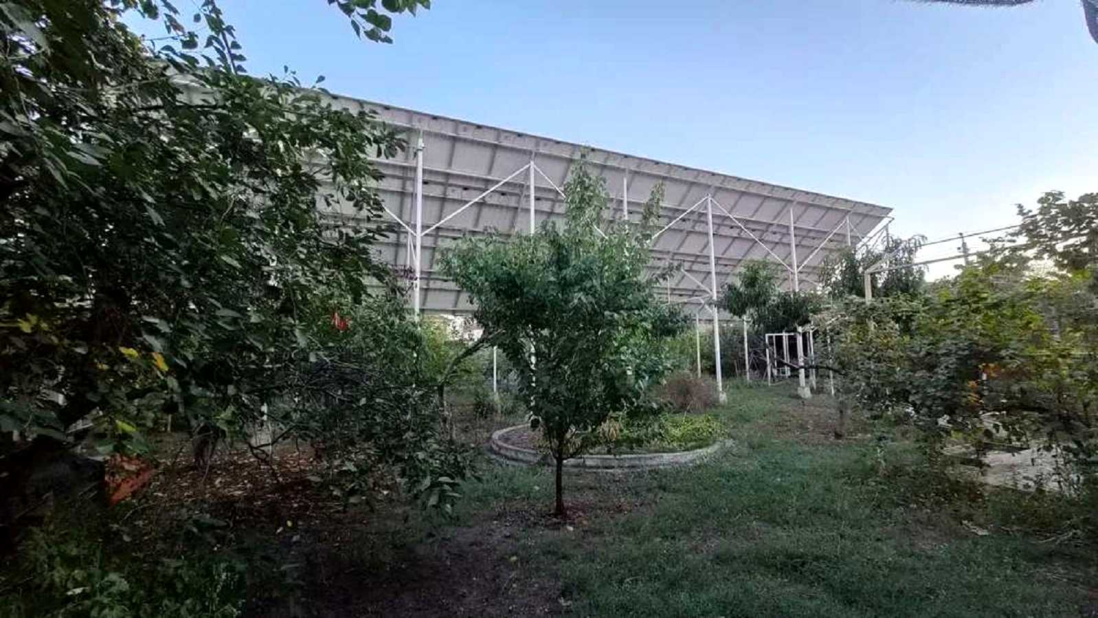 1878403595952874