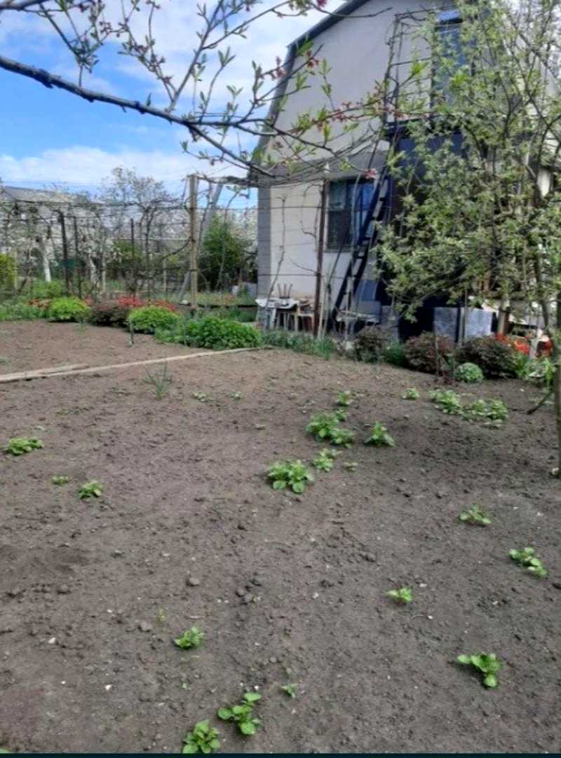 Дом по адресу (площадь 40 м²) - imageAlt 5 Дом по адресу (площадь 40 м²) - Atlanta.ua - imageAlt 5