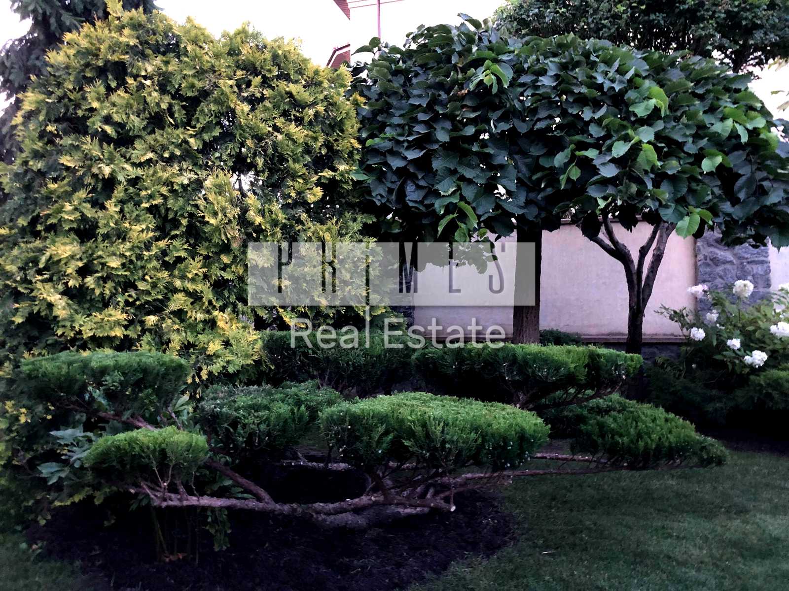 1878480202204826
