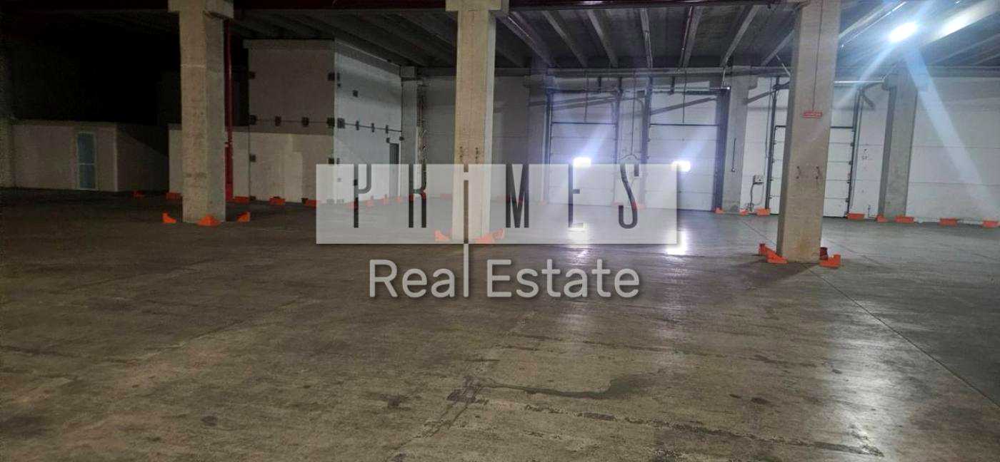 1878482438488159
