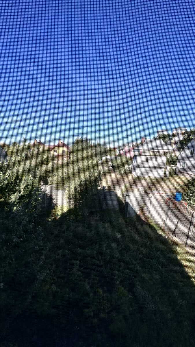 1878499175533014