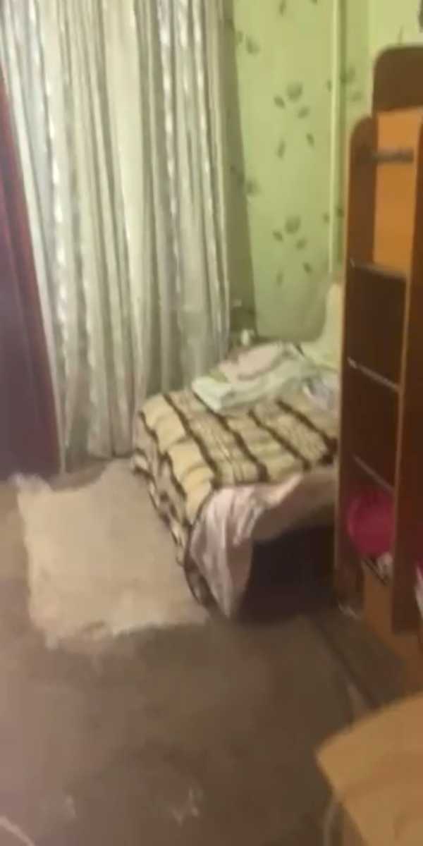 1878504275525073