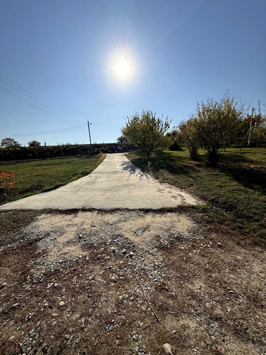 1878515223697321