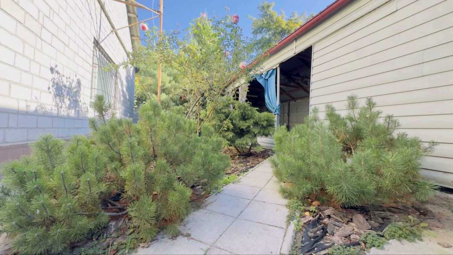 1878519381910571
