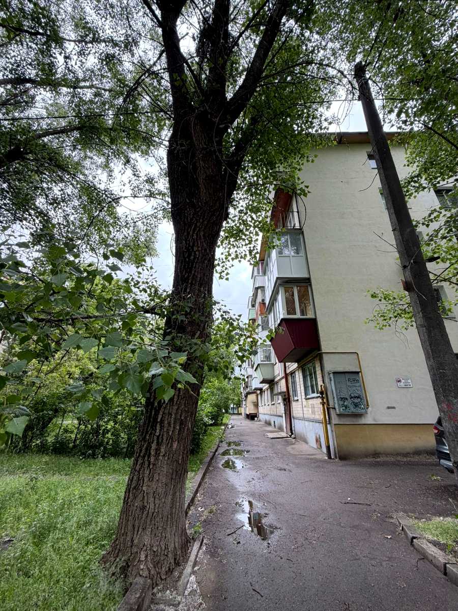 1878550646893402