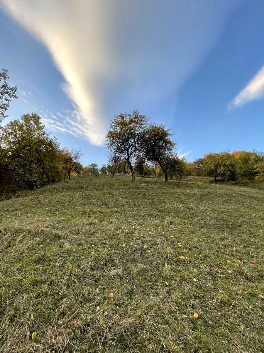 1878555730122312