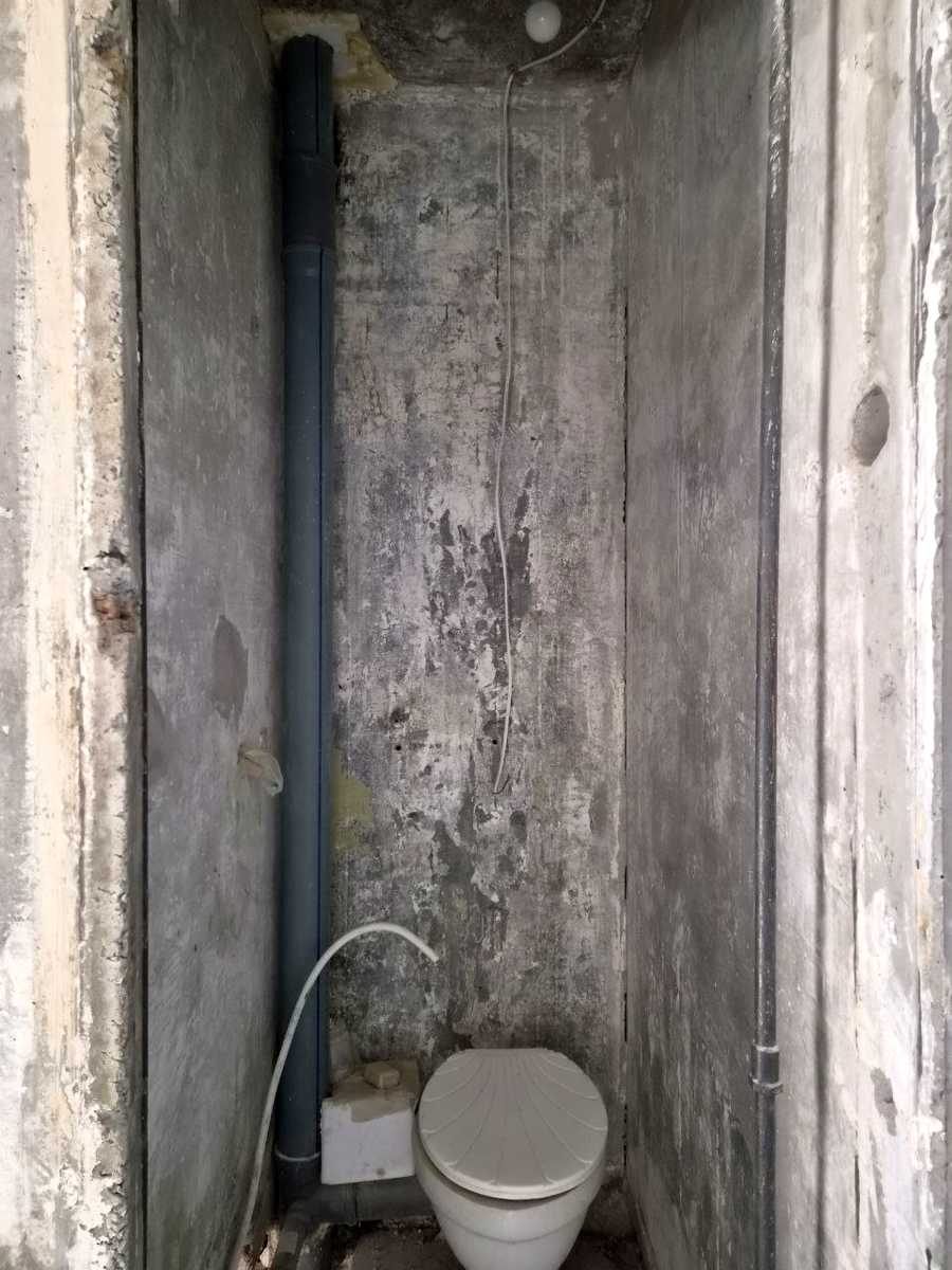 1878556260337636