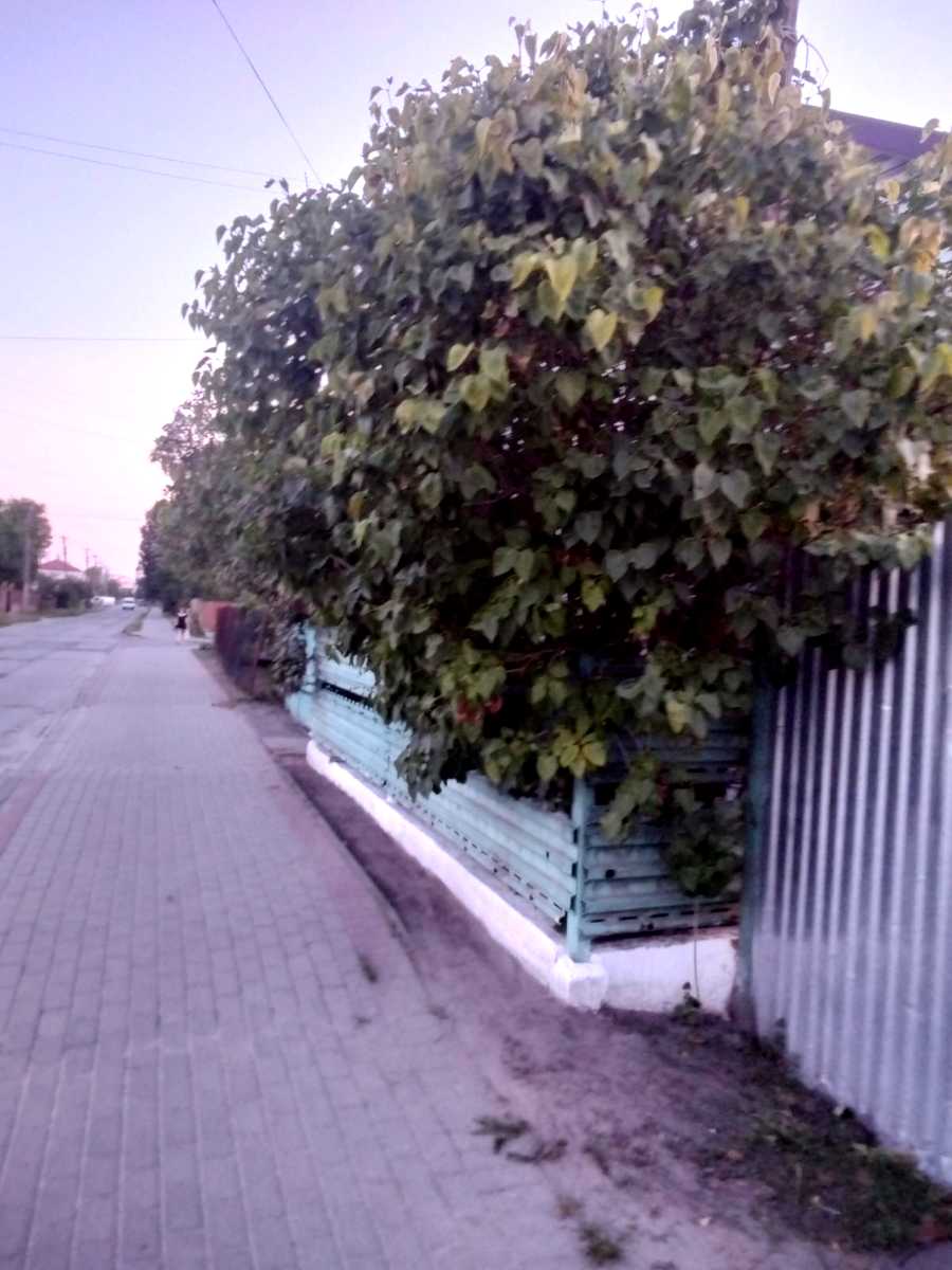 1878650085839433