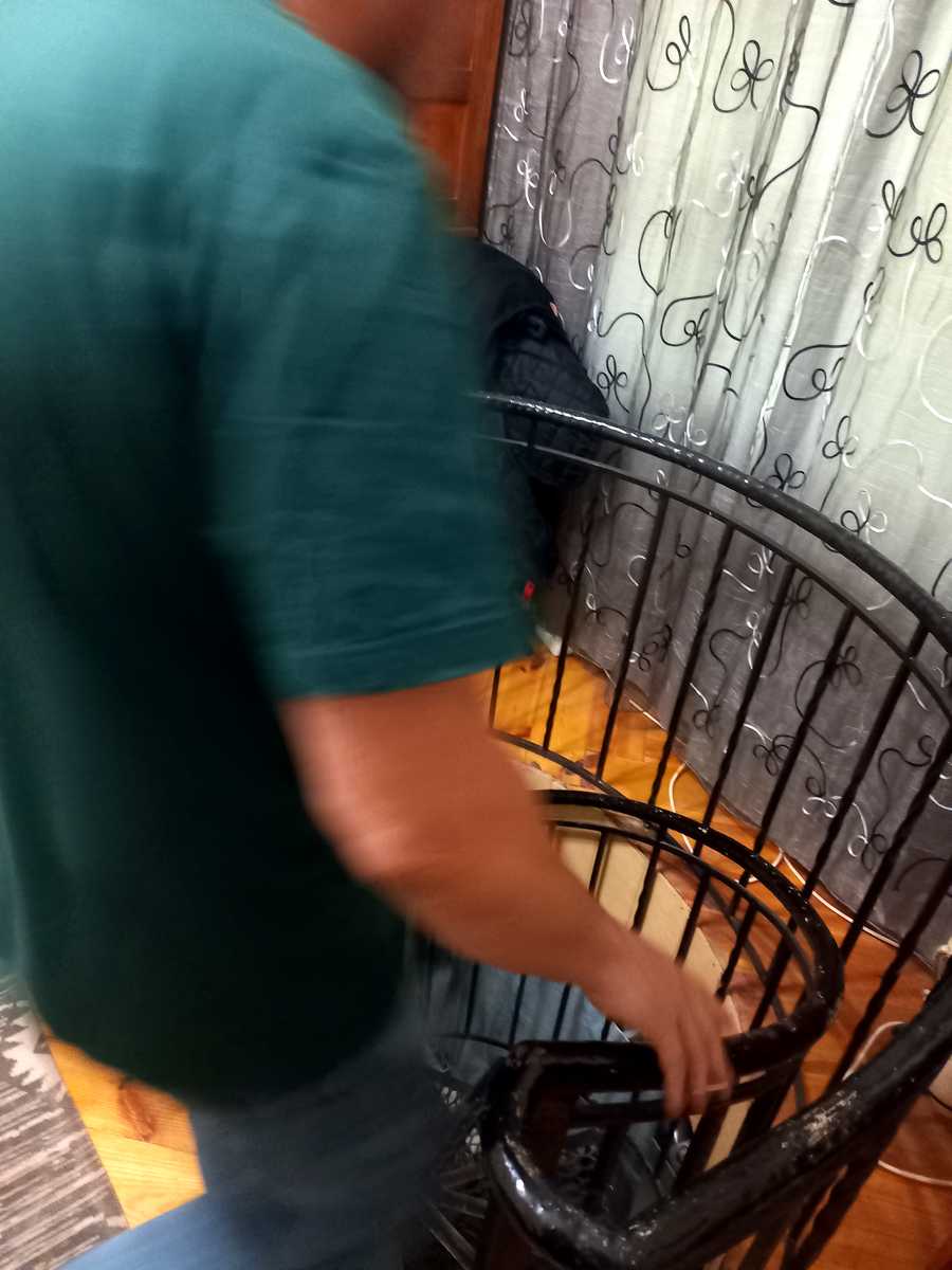 1878655950934481