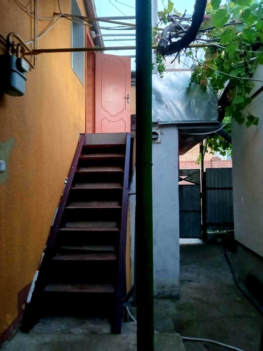 1878689502035238