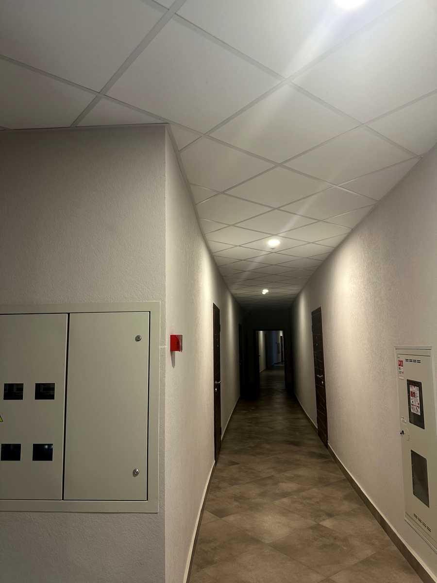 1878785101066802